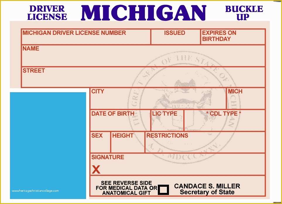 michigan-driver-s-license-template-free-recgo